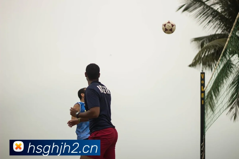 leyu乐鱼在线登录最新官网服务体系